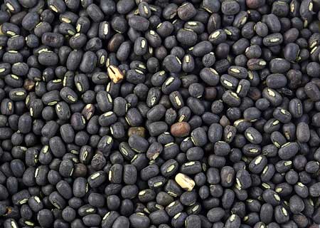 Black Matpe Beans