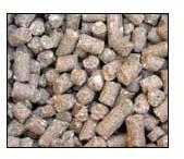 Cattle Feed Product-02