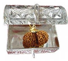 Gauri Shankar Rudraksha