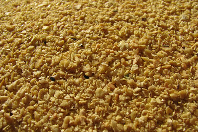 soybean meal