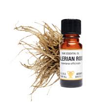 Valerian Root Oil