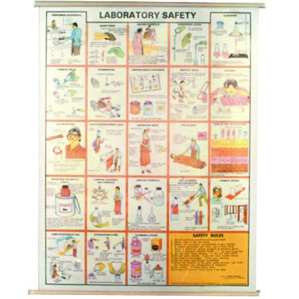 Hospital Labs Chart