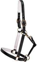 Leather Halters