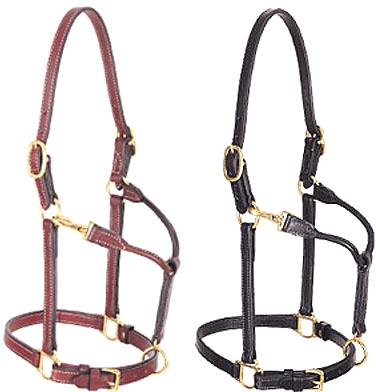 Track Halters