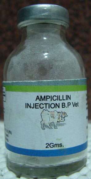 Ampicillin Veterinary Injections