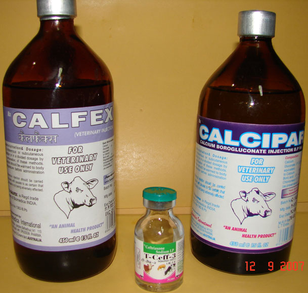 Calcium Magnesium Veterinary Injections