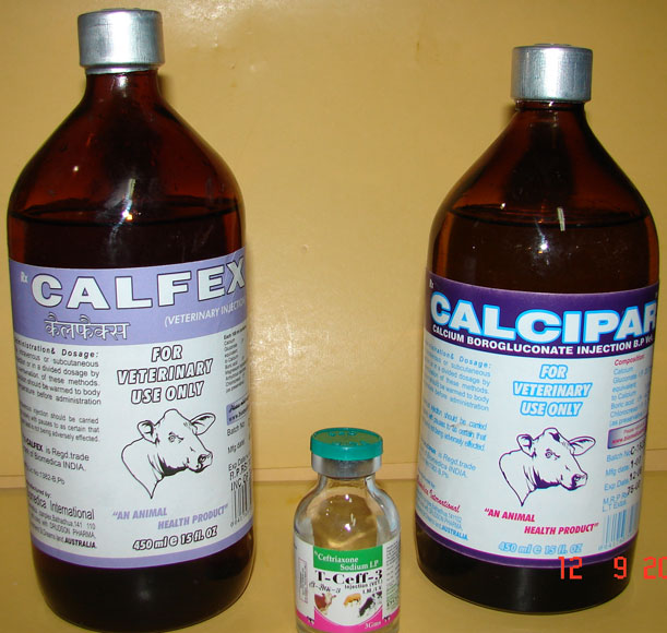 Calcium Veterinary Injections