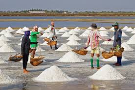 Salt ( Free flow iodized salt / Crystal salt / Industrial salt )