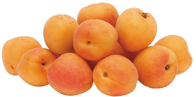 Common Fresh Apricot