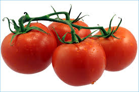 Fresh Tomatto