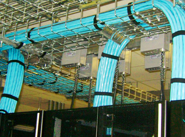 PLANT CABLING