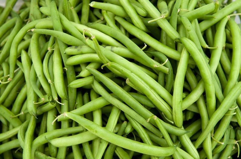 Fresh Green Beans