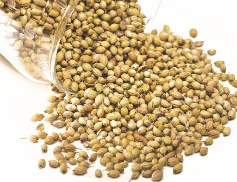 Coriander Seeds