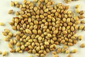 Ambikas Coriander Seeds