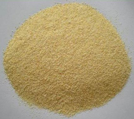 dehydrated garlic powder