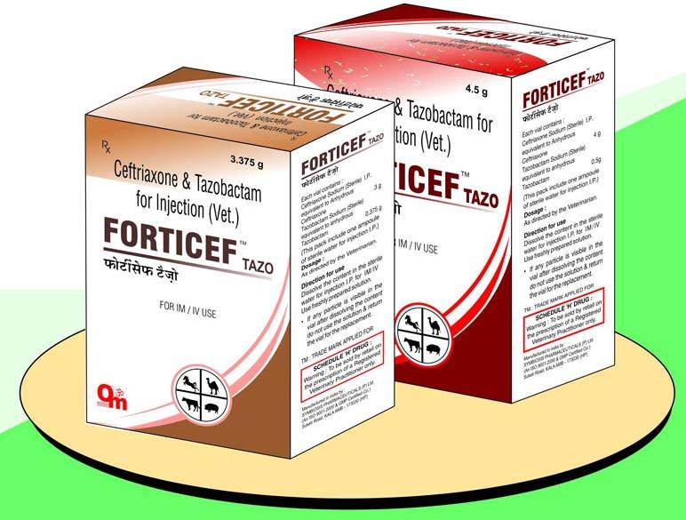 Forticef Ceftriaxone Injection