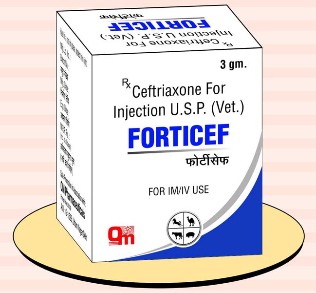 Forticef Tazo Ceftriaxone Injection