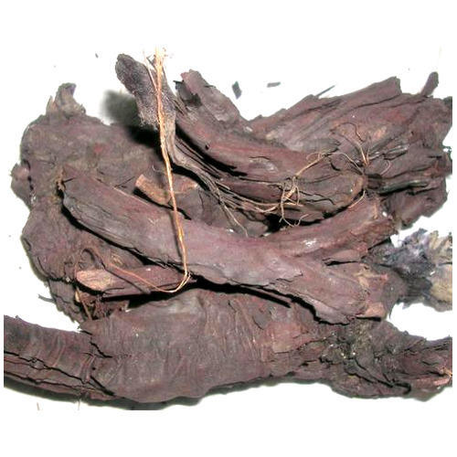 Terminalia Arjuna Bark Extracts