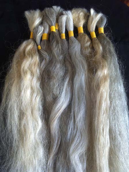 Grey Human Hair, for Parlour, Personal, Style : Curly