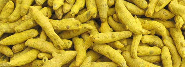 Turmeric finger