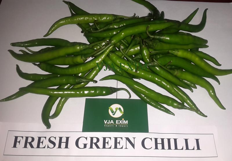 Fresh Green Chilli, Certification : APEDA