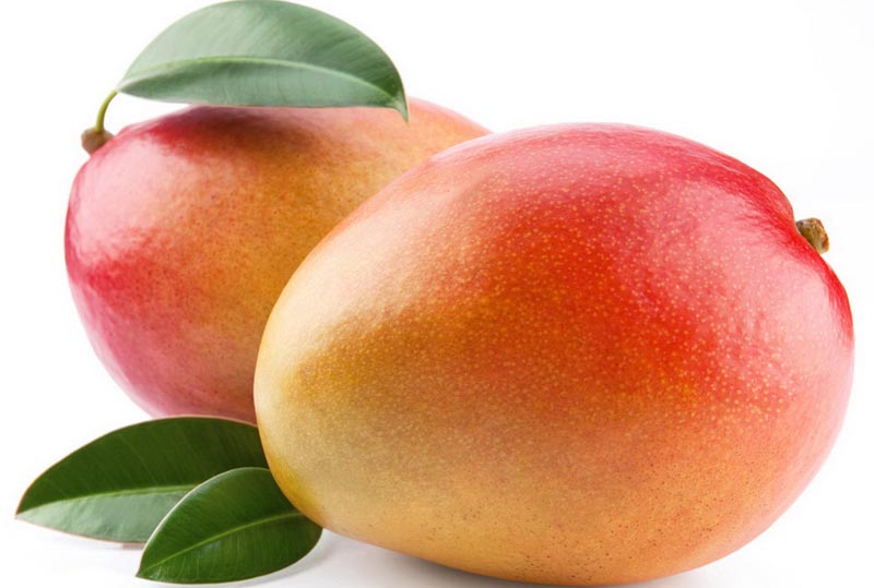 fresh mango