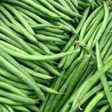 fresh green beans