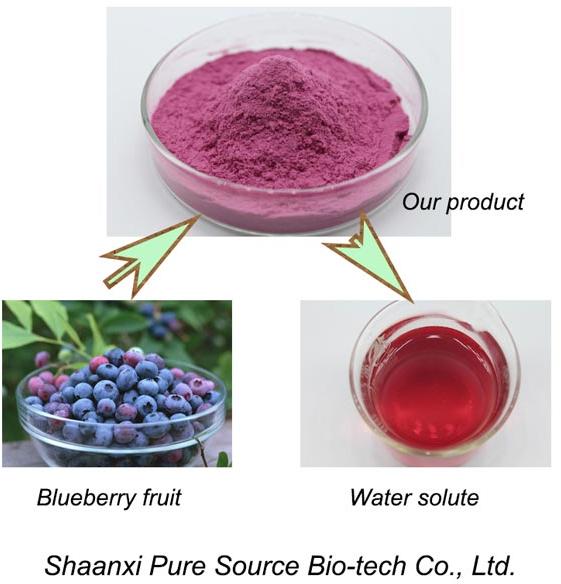 Blueberry Fruit Powder by Xian Victar Bio-tech Corp., Blueberry Fruit ...