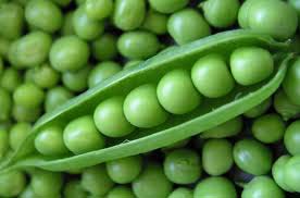 Organic Fresh Green Peas, Shelf Life : 8-10Days