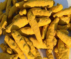 Turmeric finger