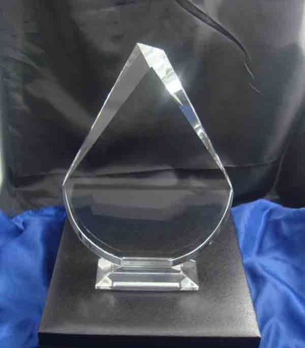 K9 Crystal Trophy Award