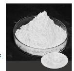 Gibberellic Acid Tech 90% Purity Powder
