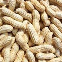 Shelled Groundnuts