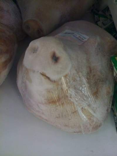 Frozen Pig Head