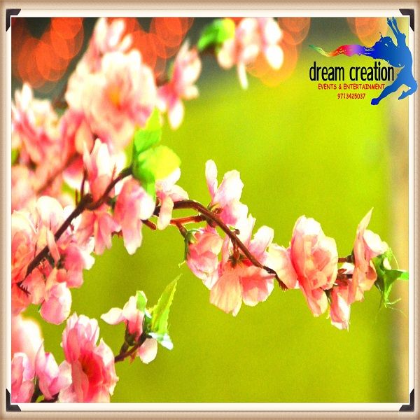 Party & Decoration Balloons