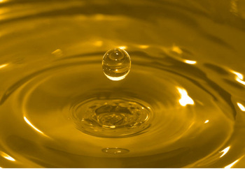 Refined Crude Sunflower Oil Buy Refined Crude Sunflower Oil in Sutanahmet