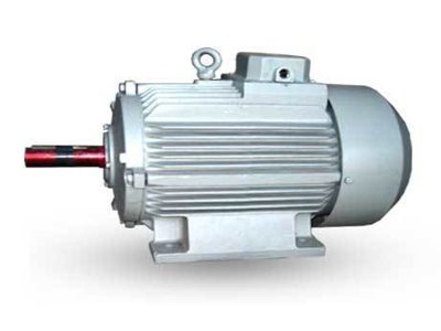 Dual speed motor