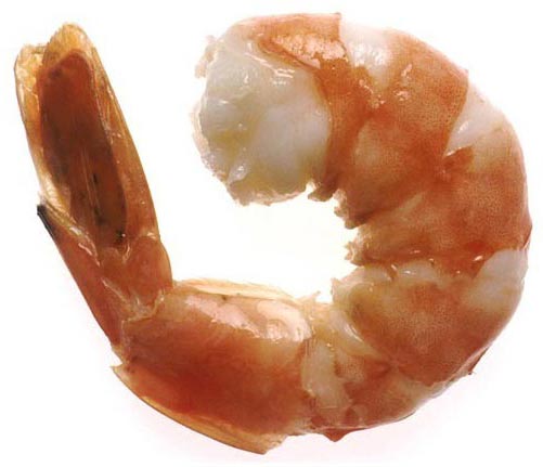 Frozen Shrimps, for Cooking, Packaging Type : Disposable Box, Plastic Packet, Plastic Poly Bag