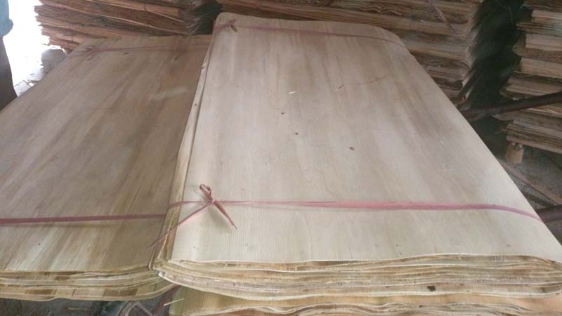 Eucalyptus Core Veneer
