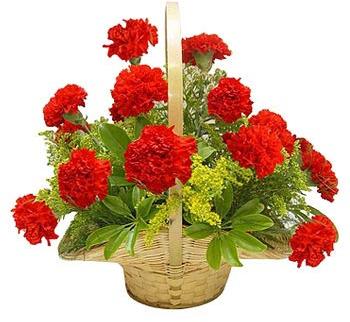 Carnations Basket