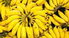 Organic fresh banana, for Food, Snacks, Feature : Easily Affordable, Healthy Nutritious, High Value