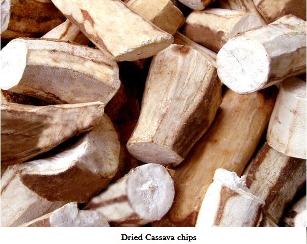 Cassava Chip