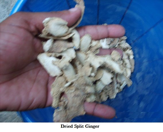 Dried Split Ginger