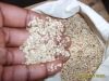 sesame seed