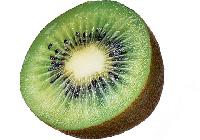 Kiwi Fruit