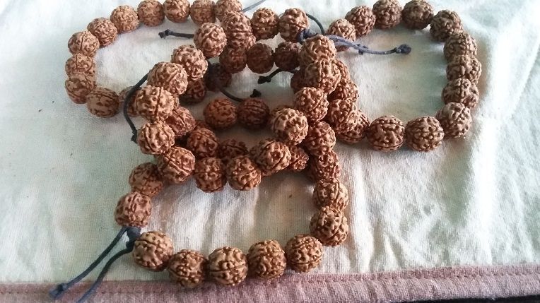 Rudraksha Parad Bracelet 5 Mukhi Size 13-16mm