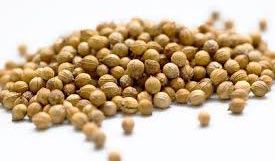 Common Coriander Seeds, Packaging Type : Jute Bags