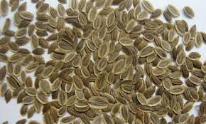 Dill Seeds, Form : Packet