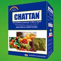 Chattan (Verticilium)