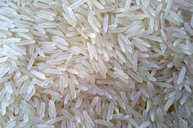 Organic Long Grain Sharbati Rice, for Cooking, Making Papad